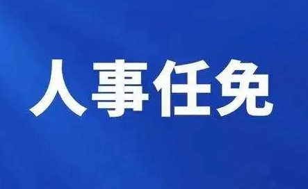 关于利腾达公司总经理任命决定